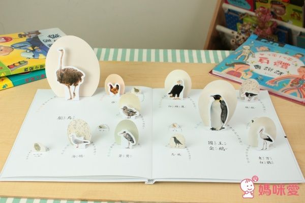 華碩文化 互動學習認知書