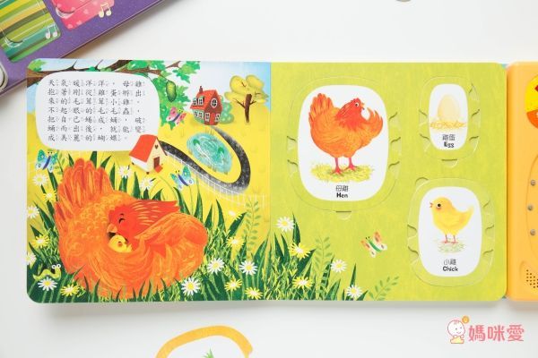 華碩文化 - 【3本合購】大自然觀察拉拉書(是誰藏在沙漠和海裡?+是誰藏在森林和雪地?)+有聲書(猜猜我長大變成什麼？)