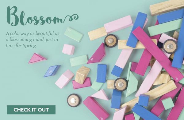 Tegu 磁性積木 - 6件口袋組-調色盤