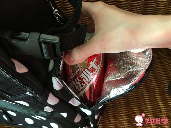 Colorland 經典款加大升級版後背包