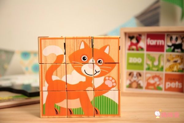 美國瑪莉莎 Melissa & Doug 聲音拼圖、地板拼圖