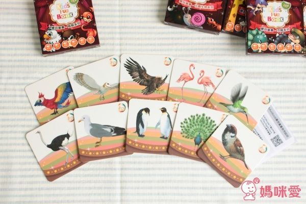4D cube 探索箱 & AR寶貝童書圖卡