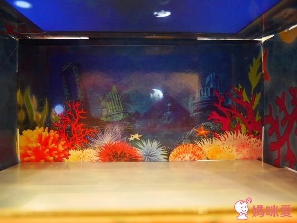 4D cube 探索箱 & AR寶貝童書圖卡