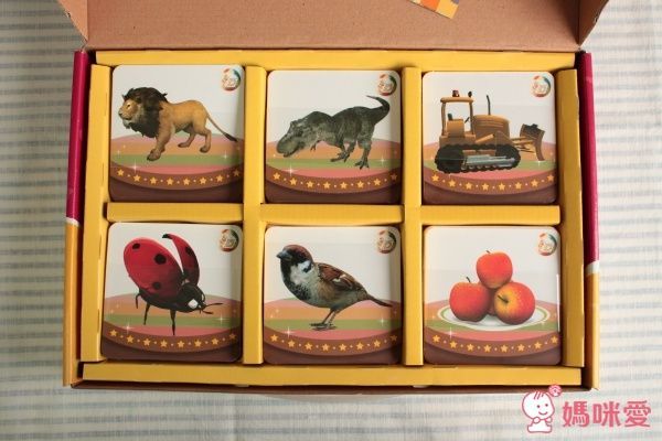 4D cube 探索箱 & AR寶貝童書圖卡