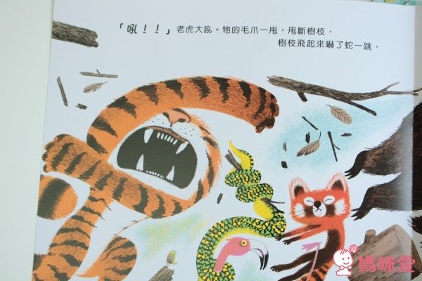 【米奇巴克】絕對不要搔老虎的癢