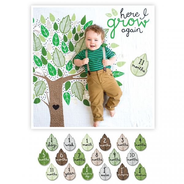 成長包巾卡片組