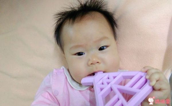 英國 Choby's 可愛造型固齒器