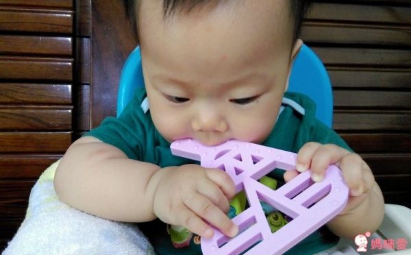 英國 Choby's 可愛造型固齒器