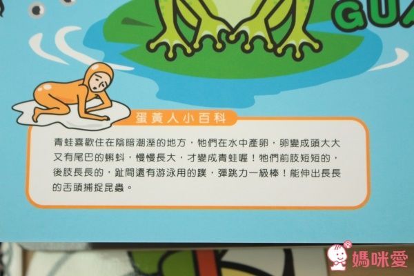 蛋黃哥，這是誰的蛋？