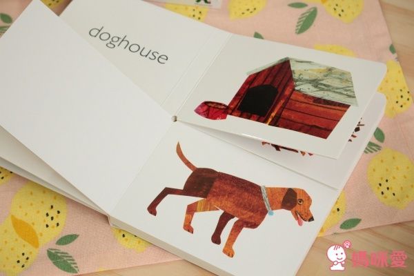 My Very First Book 認知配對英文書