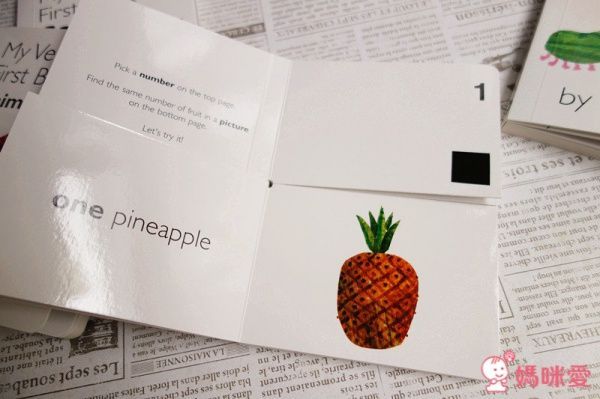 My Very First Book 認知配對英文書 艾瑞卡爾