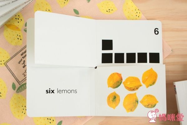 My Very First Book 認知配對英文書 艾瑞卡爾