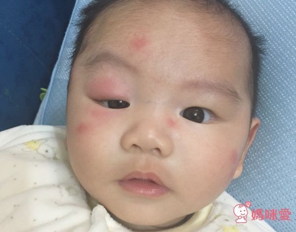 東元 TECO-LED 吸入式捕蚊燈