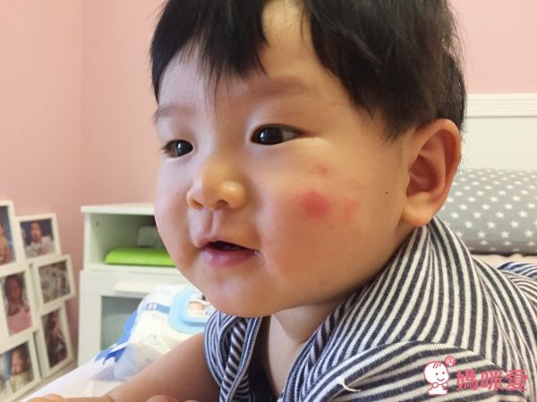 東元 TECO-LED 吸入式捕蚊燈