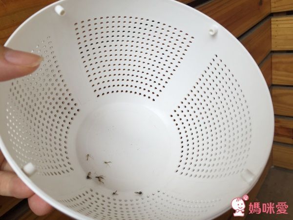 東元 TECO-LED 吸入式捕蚊燈