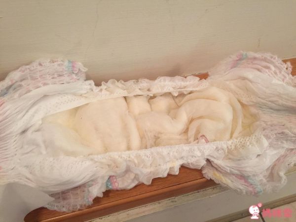 美國限定幫寶適Hello Kitty拉拉褲" width=