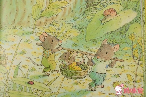 14隻老鼠系列套書(12冊+媽媽手冊)