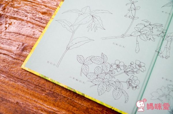 14隻老鼠系列套書(12冊+媽媽手冊)