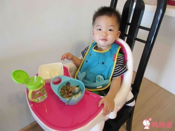 美國 ZOE 5 合 1 變型餐椅