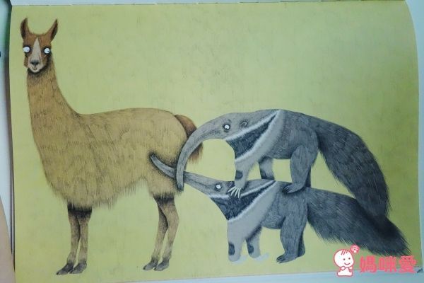 生命繪本書單 全世界親子都該閱讀