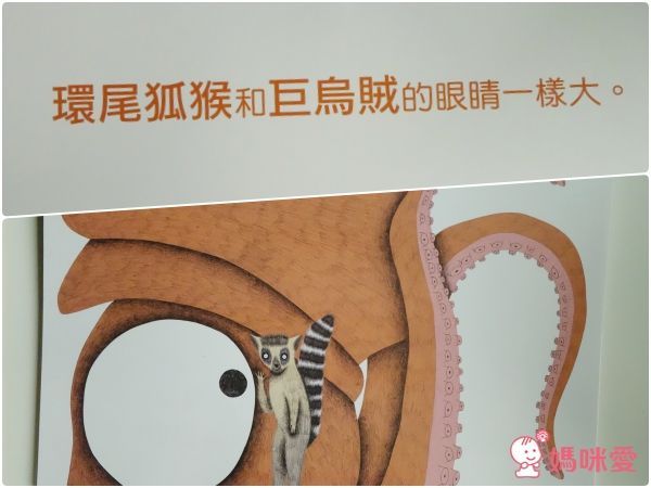 生命繪本書單 全世界親子都該閱讀