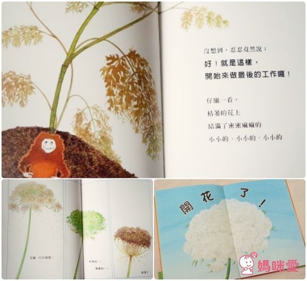 胡蘿蔔忍者忍忍