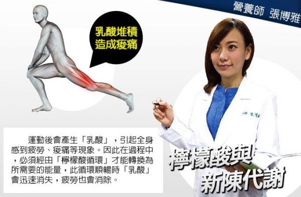 日本原裝進口【活菌の母】/知名大廠 井藤健康補給食品!