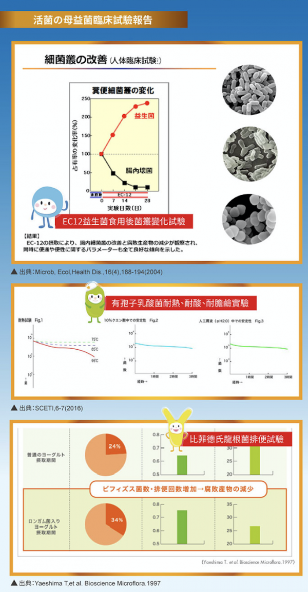 日本原裝進口【活菌の母】/知名大廠 井藤健康補給食品!