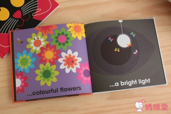 英國Patrick George透明膠片書幼兒五感系列+Magic Painting Book♥美感療癒畫本