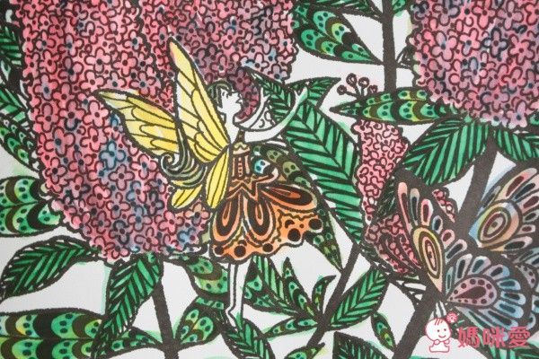 英國Patrick George透明膠片書幼兒五感系列+Magic Painting Book♥美感療癒畫本