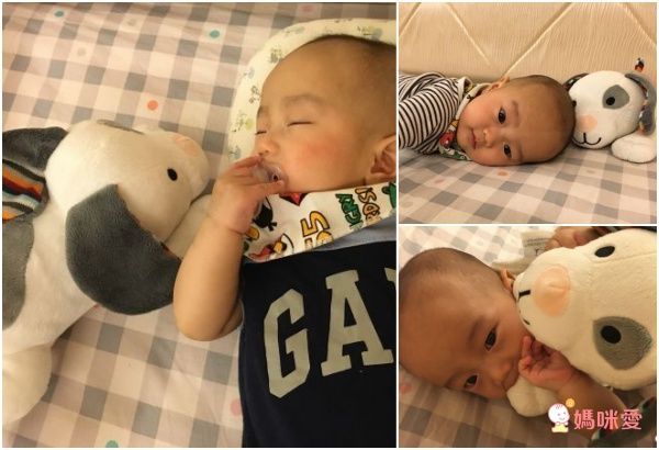 哄睡神器►荷蘭ZAZU強鵝好朋友、奶嘴好朋友、心跳好朋友