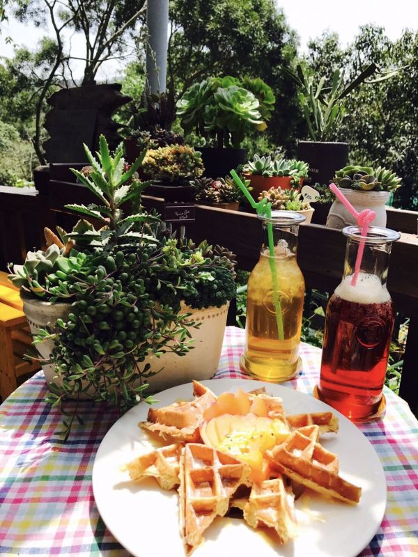 東森山林渡假酒店❤夏日親子樂悠遊