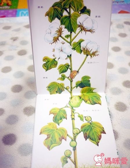 小蠶豆系列-小蠶豆與小(魚將)魚