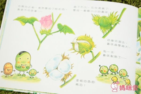 小蠶豆系列-小蠶豆與小(魚將)魚