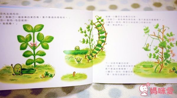 小蠶豆系列-小蠶豆與小(魚將)魚