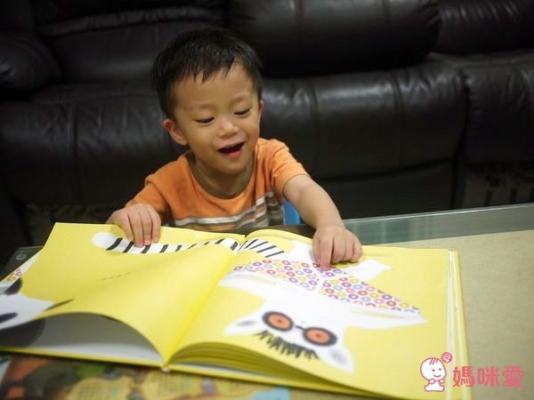 謝謝你，熊貓先生