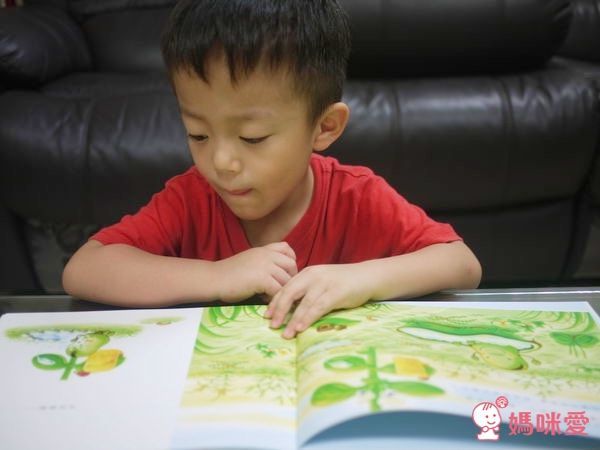 小蠶豆系列-小蠶豆與小(魚將)魚