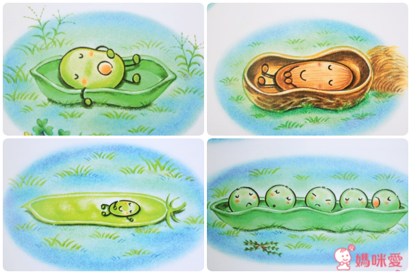 小蠶豆系列-小蠶豆與小(魚將)魚