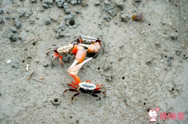 【台中港酒店】高美溼地看星星☆暑假不加價