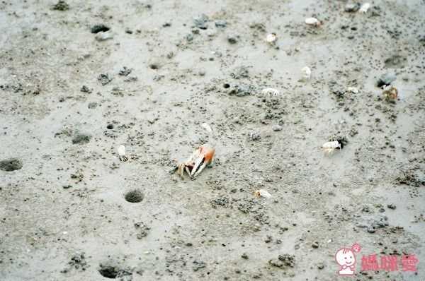 【台中港酒店】高美溼地看星星☆暑假不加價