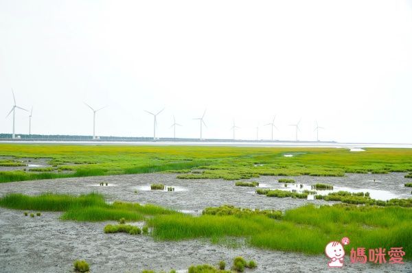 【台中港酒店】高美溼地看星星☆暑假不加價