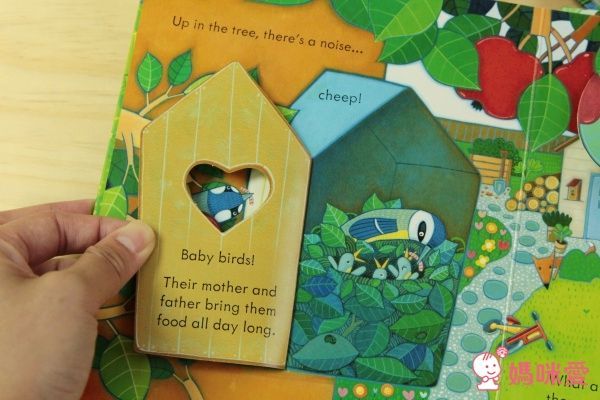 下殺42折！六本精裝只要 $999 ✦ 英國 Usborne ✦ Peep Inside 系列