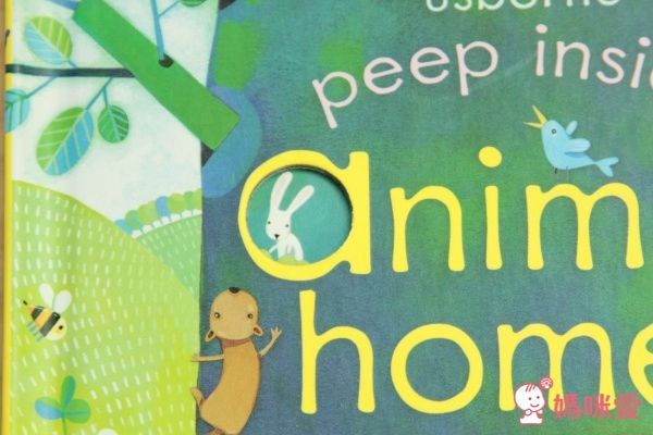 下殺42折！六本精裝只要 $999 ✦ 英國 Usborne ✦ Peep Inside 系列