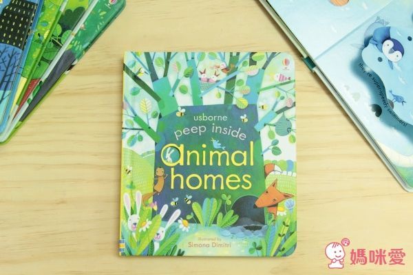 下殺42折！六本精裝只要 $999 ✦ 英國 Usborne ✦ Peep Inside 系列