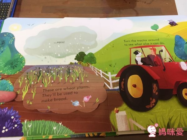 下殺42折！六本精裝只要 $999 ✦ 英國 Usborne ✦ Peep Inside 系列