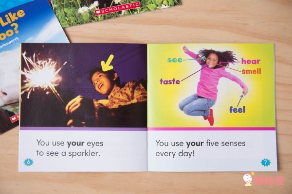 Nonfiction Sight Word Readers Level C with CD-教材+CD-彩色