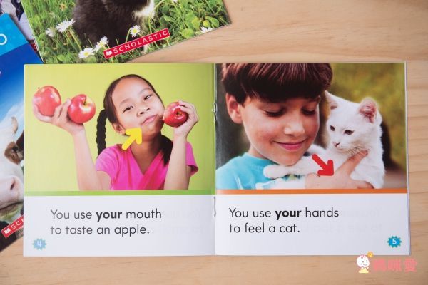 Nonfiction Sight Word Readers Level C with CD-教材+CD-彩色