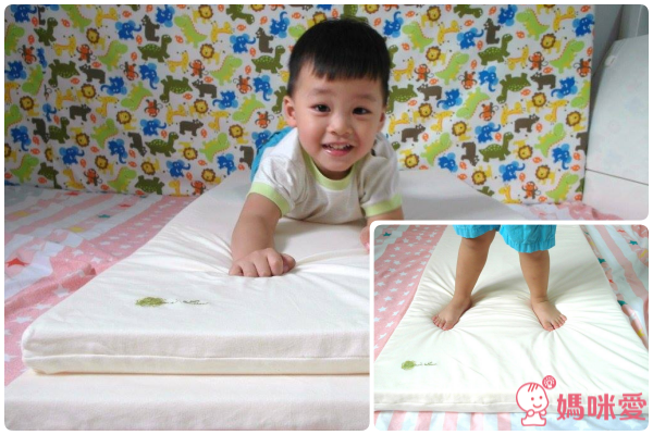 【 mammyshop 媽咪小站 】 德國 VE 綿護脊護頸床枕系列 / 3D天然纖維柔籐墊 ☆ 獨家新品搶先上市