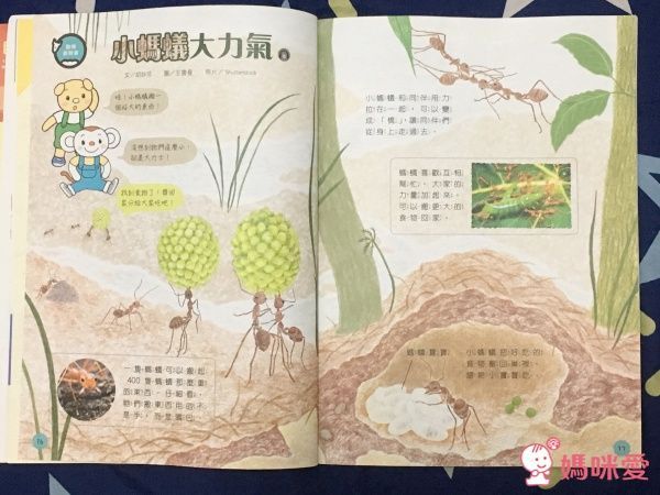 【親子天下】小行星幼兒誌✭訂閱就送經典金獎好書☞我的感覺50萬冊紀念版套書!