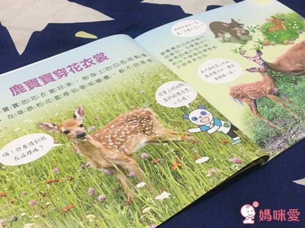【親子天下】小行星幼兒誌✭訂閱就送經典金獎好書☞我的感覺50萬冊紀念版套書!